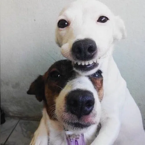 Avatar Instagram avatar đôi mang biểu đạt không gượng chân thật