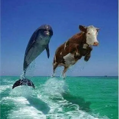 Ảnh hiển thị ảnh selfie đôi tạo nhịp ảnh đời thường ấm gần