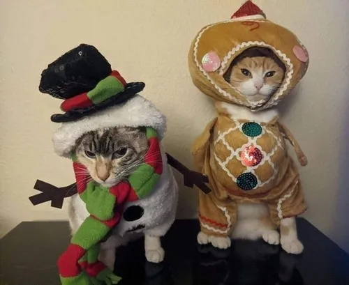 Ảnh cá nhân avatar cặp bạn phối đồng điệu trang phục phong cách film