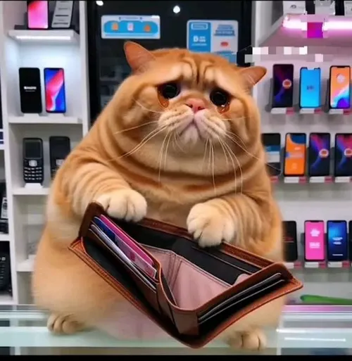 Ảnh đại diện ngầu mèo với tai dựng xinh