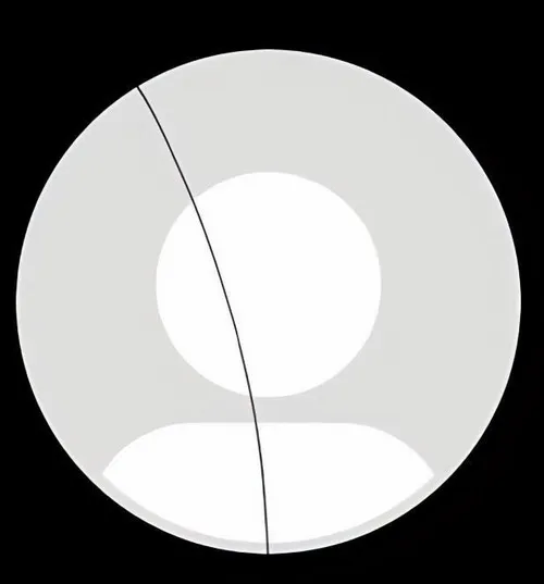 Hình profile avatar mặc định có sợi tóc chế phối biểu cảm cường điệu.