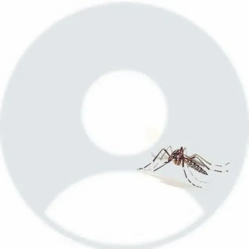 Ảnh đại diện cá nhân kiểu nhây dùng avatar meme.