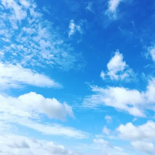 Hình avatar cute tone xanh nhạt, nhẹ như hơi thở đầu ngày