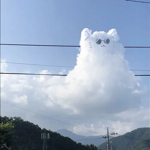 Ảnh profile ánh sáng ngược đầy cảm xúc, gương mặt nửa sáng tối