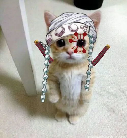 Meme hài Brook tức giận khi bị giật đàn bất ngờ.