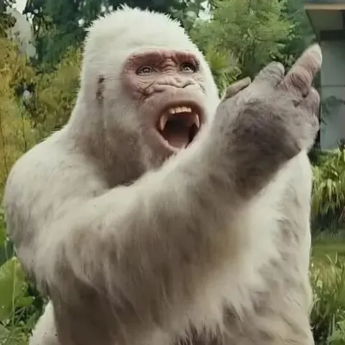 Ảnh troll khỉ đưa ngón tay thối như chốt thái độ cuối.