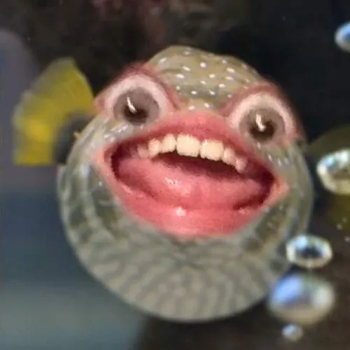 Cá nóc meme bật sóng thấp tạo vòng nước tròn rất duyên