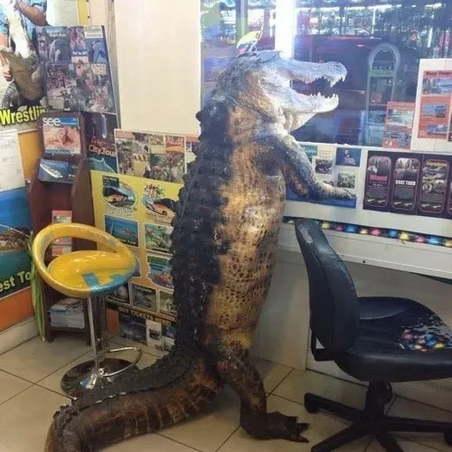 Khoảnh khắc cá sấu nấp mép sông với mắt lờ đờ