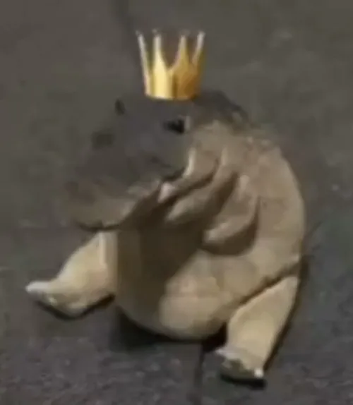 Khi cá sấu rình bờ bùn lại giống người đang chán đời