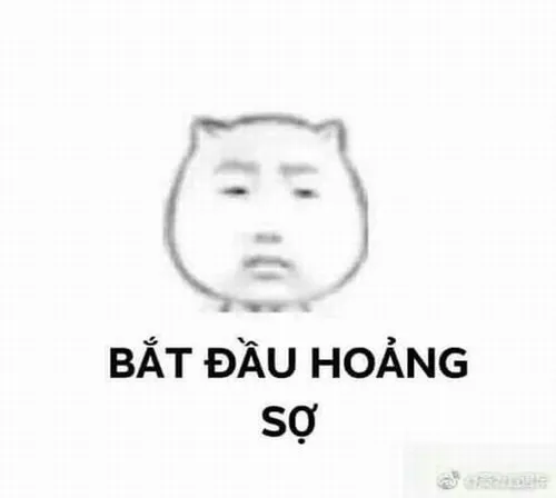 Hình meme chảy mồ hôi với ánh mắt hoảng sợ