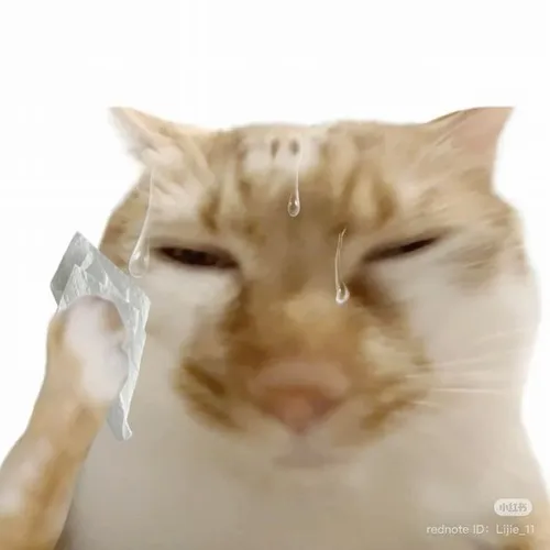 Khi cảm xúc vượt khỏi kiểm soát và meme toát mồ hôi giúp diễn đạt