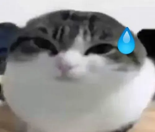 Phút lúng túng trong nhóm chat được giải cứu bằng meme toát mồ hôi