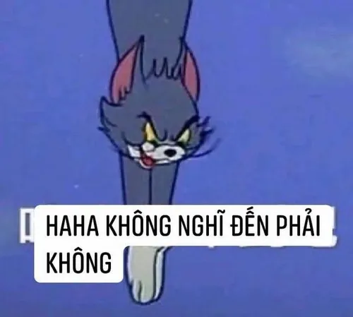 1 cây vàng bị cà khịa bằng mắt lấp lánh lố.