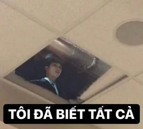 Lừa đảo bị troll bằng mặt nghi ngờ cực mạnh.