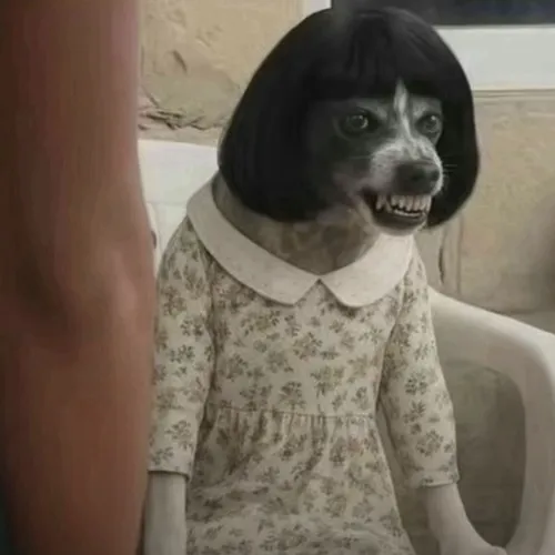 Ảnh khịa husky cười gian như thấy điểm yếu bạn.