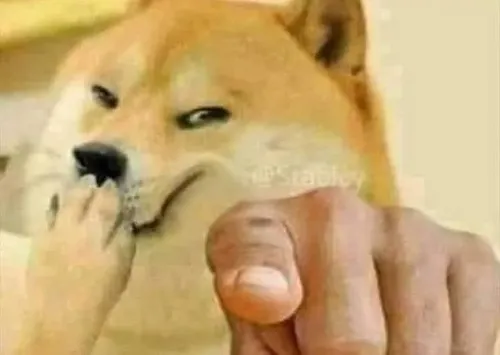 Ảnh hài cheems cười rụt rè nhưng đầy ý đồ.