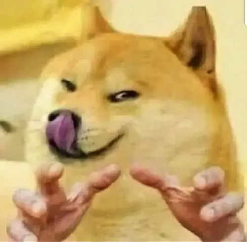 Ảnh troll cheems liếc xuống như vừa nghe câu vô lý.