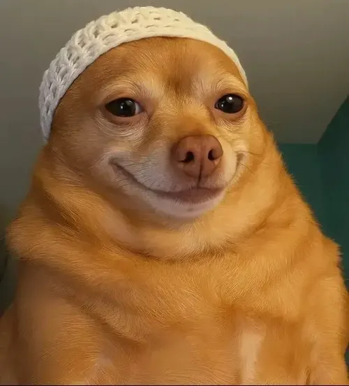 Ảnh khịa cheems nụ cười nhẹ đầy tính chọc quê.