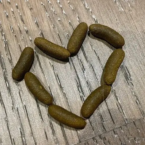 Meme cục cứt – khi thứ dơ nhất lại khiến người ta cười nhất