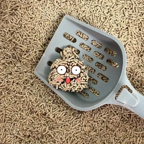 Vì sao dân mạng phát cuồng với ảnh chế cục cứt