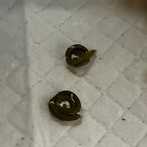 Ảnh vui toilet nhại cảnh phim kinh dị thành cảnh xả nước