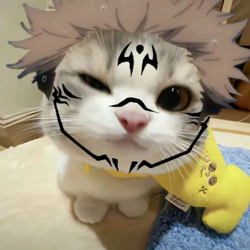 Meme Sukuna nhấn mạnh mặt phân tách đôi trước khí thế