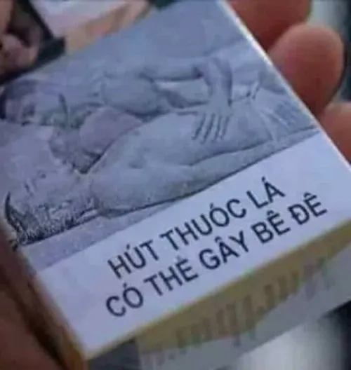 Mạng lag bị troll bằng biểu cảm ngơ khó tả.