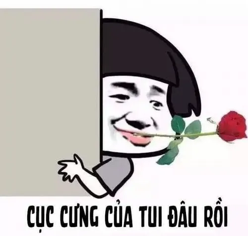Face ngầu kiểu troll khiến cả nhóm bật cười.