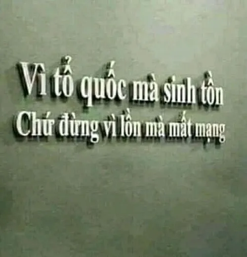Hình troll ánh mắt lúng túng chốt hạ câu chuyện đang leo thang.