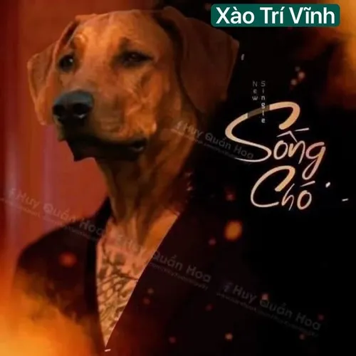 Bạn bị đùa giỡn bằng gương mặt lệch bất ngờ.