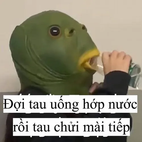 Fan mu bị troll bằng cú cà khịa bằng mắt.