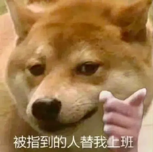 Bằng lái máy bay bà già bị chơi khăm bằng ảnh troll.