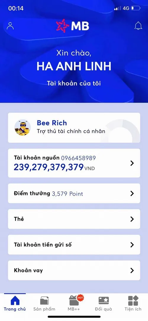 Ảnh chuyển khoản troll giá trị 100k nhìn vô lý ghê