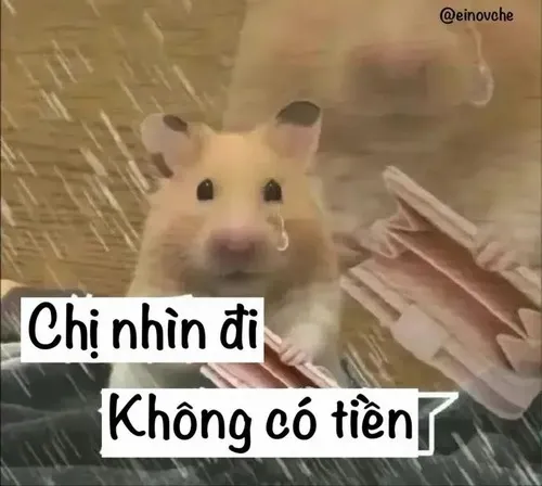 Hình meme hài khắc họa bữa ăn mì gói đậm chất cháy túi.