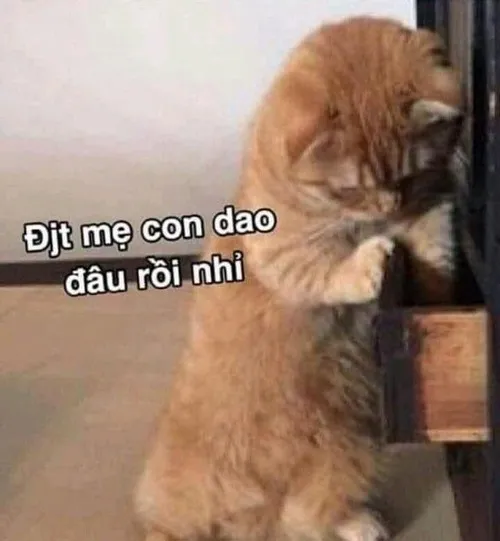 Pha đùa giỡn trong bối cảnh đời thường làm hội bạn dậy sóng.