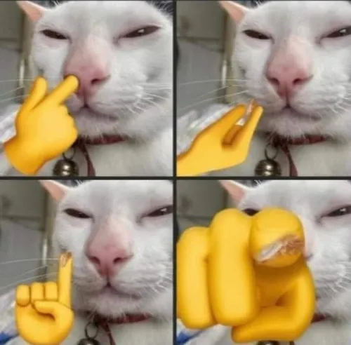 Gương mặt troll phóng đại nét đời thường thành tình huống khó đỡ.