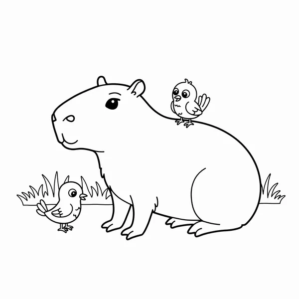 13 Bé tô Capybara đáng yêu và học được bài học về lòng hiền hậu