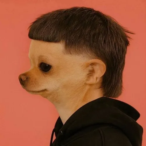 Ảnh chế ảnh profile ánh mắt tinh nghịch trong khung đơn giản