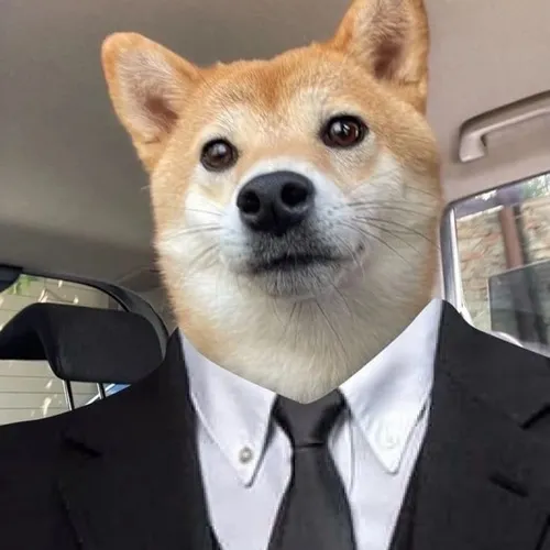 Gương mặt chế trong ảnh đại diện meme giúp thể hiện sự dí dỏm