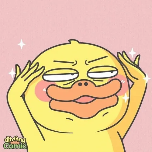 Ảnh vui ảnh nhận diện mèo thẫn thờ tạo cảm xúc lạ