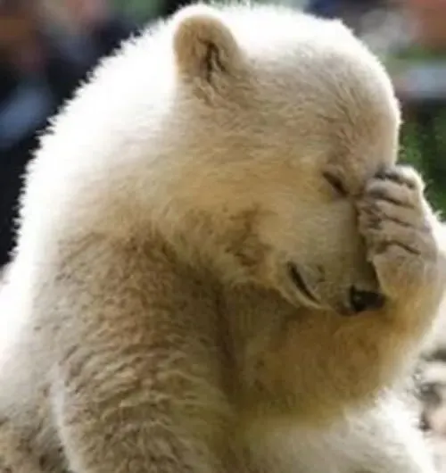 Meme bế tắc dáng ngồi rũ gợi đúng vibe người quá tải