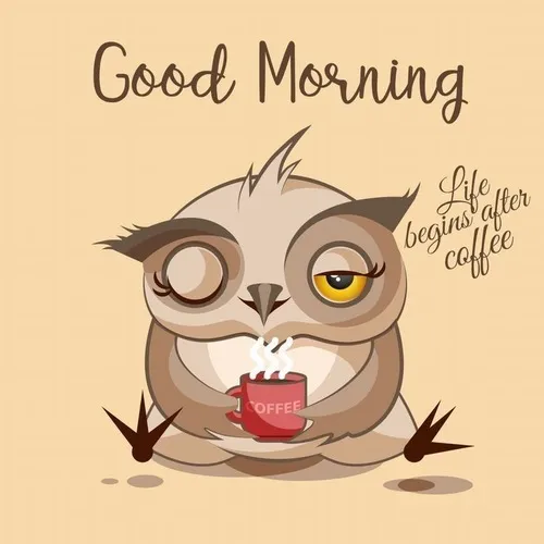 Ảnh troll chúc ngày mới kèm câu “dậy thôi kẻo muộn rồi”