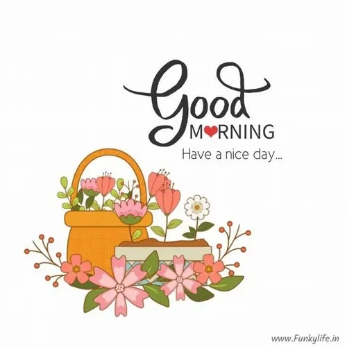 Meme chào ngày mới kèm câu “dậy đi, thế giới đang đợi”