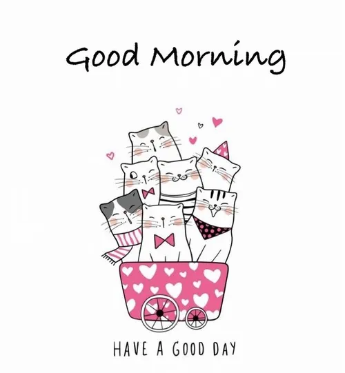 Ảnh vui “chào buổi sáng, chúc bạn cười nhiều hơn hôm qua”