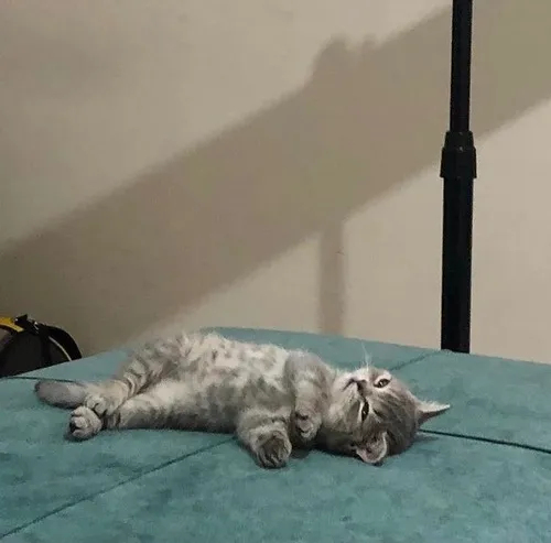 Ánh mắt lạc trôi thể hiện vibe meme chết chìm