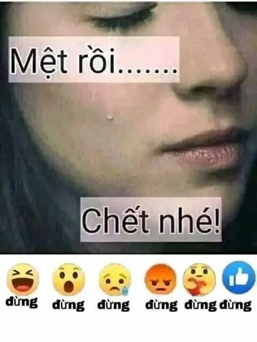 Meme chết sững dùng khi bị bẻ lái quá nhanh