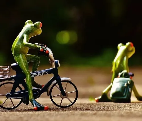 Ảnh meme vui buông bỏ diễn tả cảm giác hụt hẫng khi cố giữ bình tĩnh