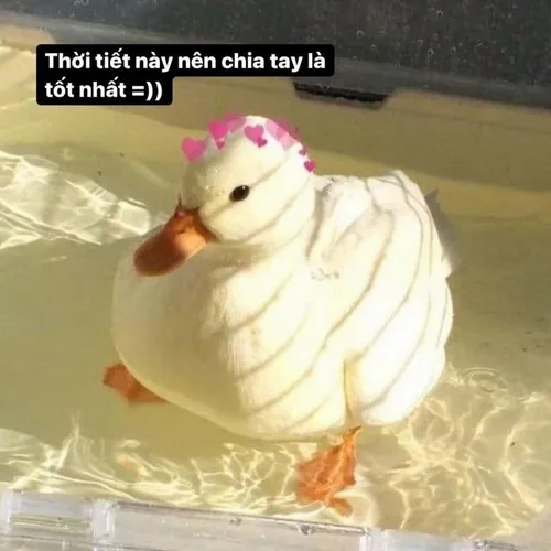 Meme hài chia tay dùng nhân hóa đồ vật kỉ niệm nhìn vừa buồn vừa vui