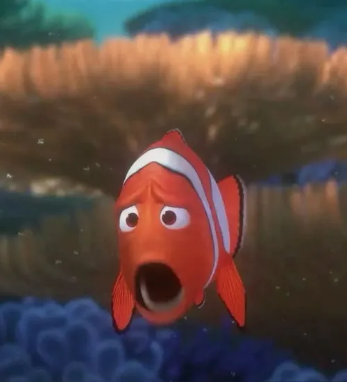 Ảnh chế cá chép vảy vàng nghiêng đầu như từ chối