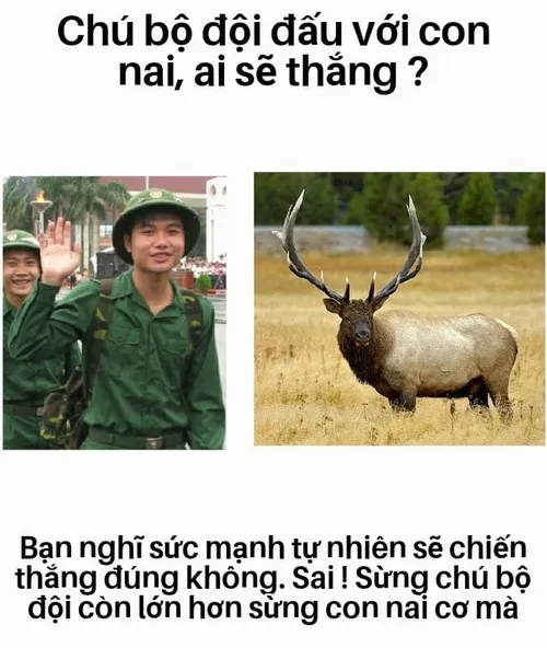 Meme liếc mắt gợi ý cho tình huống nói gì cũng thành bậy